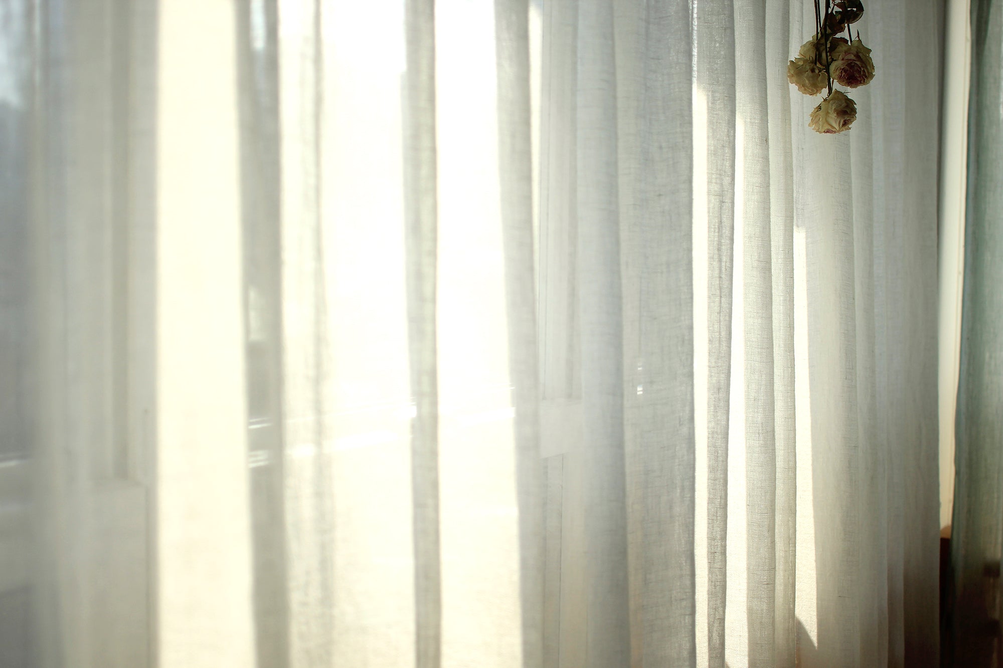 サイズオーダーカーテンgauzeシリーズ(片開き)